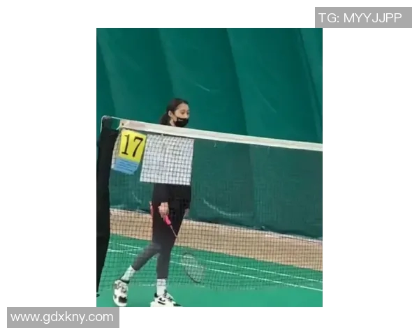 深圳羽毛球队战术引发热议球迷与专家各执己见分析战术优劣