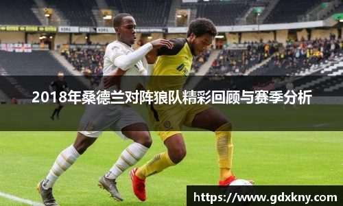 2018年桑德兰对阵狼队精彩回顾与赛季分析